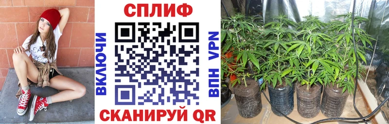 МАРИХУАНА планчик  купить закладку  Билибино 